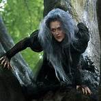 into the woods trailer german3