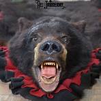black bear mounts for sale4