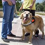 Can a service dog be trained with a handler?3