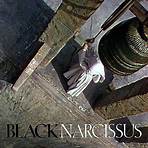 black narcissus (tv series) movie streaming4