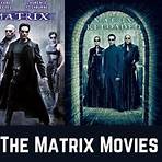 the matrix 22