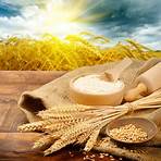 What grains are GMO free?4