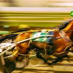 harness races and results this week near me schedule3