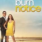 how popular is burn notice streaming vf1