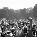 rock en seine festival1