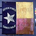 saint leopold iii of texas flag history3
