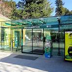 Why should you visit Schönbrunn Zoo?2