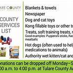 tulare county animal shelter adoption gallery2