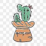 cactus png sin fondo1