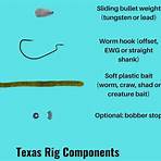 what is a rig in fishing report2