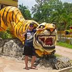 Tiger Town5