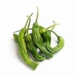 define prickle green pepper3