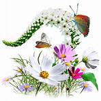 where can i get clip art for free butterfly wood diy2
