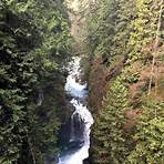 lynn canyon suspension bridge vs capilano suspension bridge3