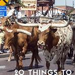 what to do in the fort worth stockyards district 23