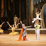 Raymonda: Bolshoi Ballet3