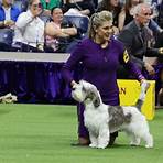 westminster dog show 2023 winner2