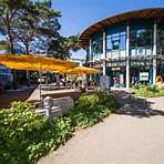 hotels binz rügen direkter meerblick1