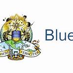 blue origin logo3