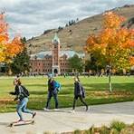 Universidade Estadual de Montana3