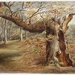 elizabeth murray árbol podrido 18503