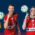 hsv handball bundesliga spielplan3