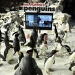 Mr. Popper's Penguins filme4