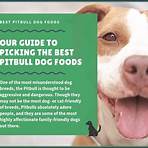 the best dog food for pitbulls3