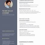 canva cv1