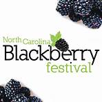 blackberry festival lenoir nc2