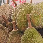 durian delivery in singapore3