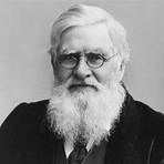 alfred russel wallace teoria3