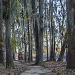 Caddo Lake State Park1