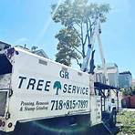 staten island tree service2