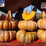 turin marché2