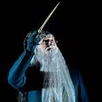 harry potter dumbledore3