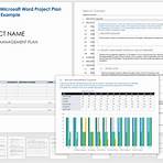 what is the bmg approach in project management word document4