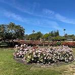 Municipal Rose Garden San Jose, CA4