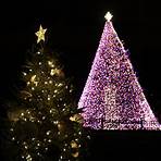 The National Christmas Tree Lighting5