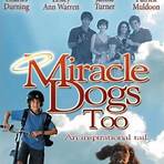 Miracle Dogs filme2