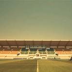 Prince Sultan bin Abdul Aziz Stadium wikipedia1