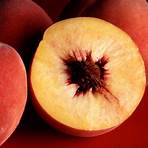peaches fruit5