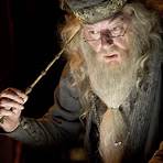 frases dumbledore4