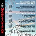 The Magnetic Fields1