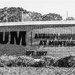 Auburn University at Montgomery3