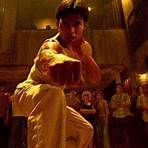 The Shaolin Temple Film2