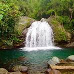 how tall are the blue mountains in jamaica in spanish language crossword clue1