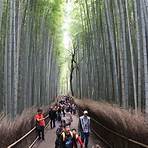 bambuswald arashiyama1
