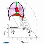 edema pulmonar agudo pdf4