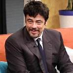 Did Benicio del Toro swerve his duties as a father?1